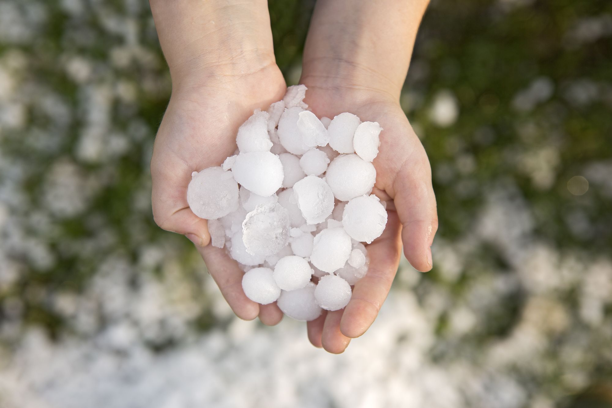 Weather Survival: How To Survive a Major Hail Storm in Cheyenne, WY.