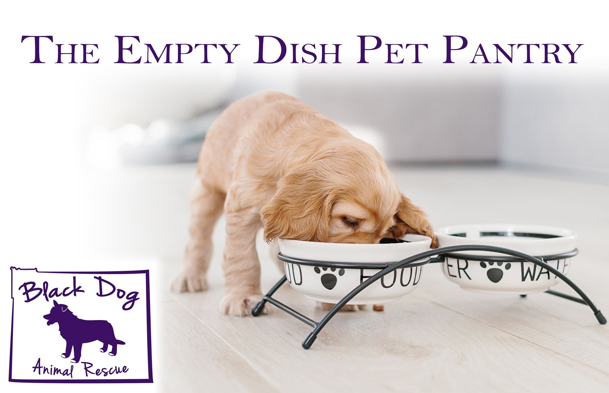 Help Fill The Empty Dish Pet Pantry