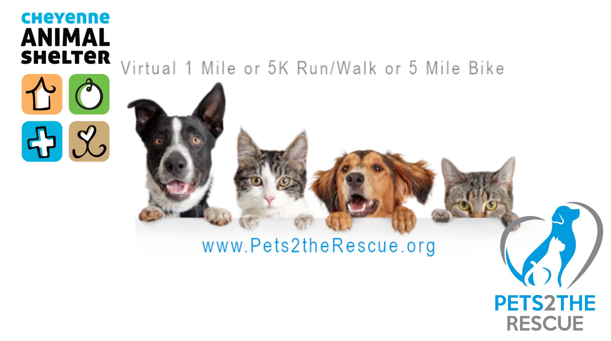 Stay Active And Support The Cheyenne Animal Shelter