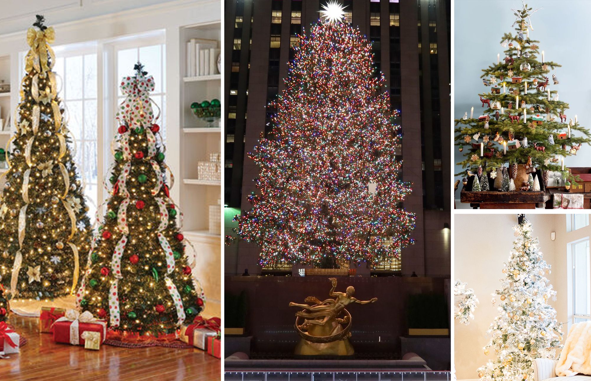 How Did The Tradition Of Christmas Trees Start?