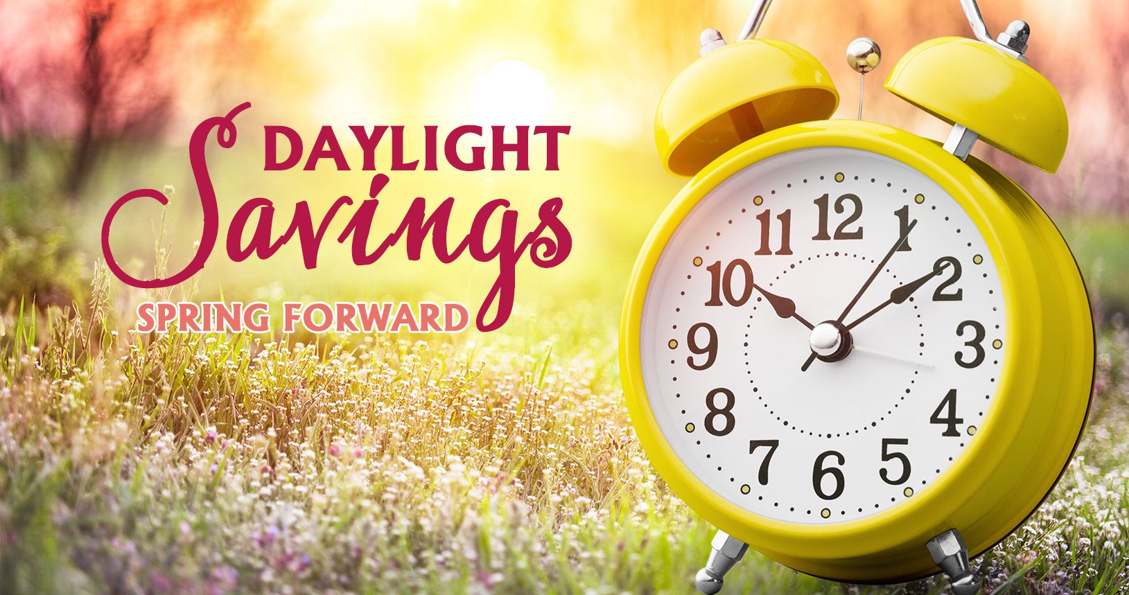 Spring Forward This Weekend!