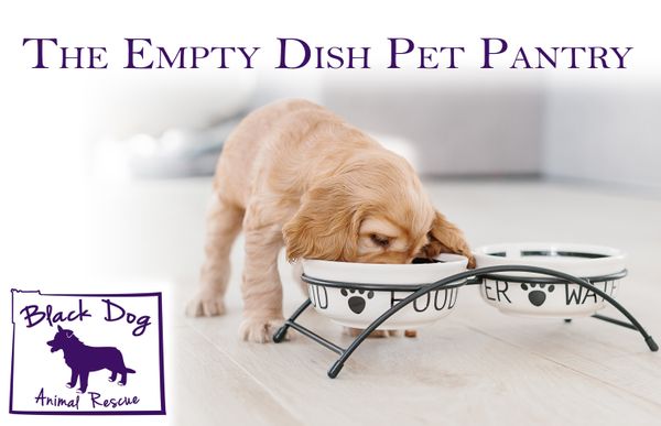 Help Fill The Empty Dish Pet Pantry