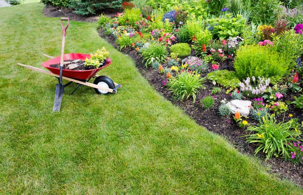 5 Common Landscaping Mistakes To Avoid