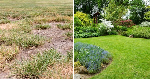 5 Easy Steps To Prepare Your Lawn For Spring