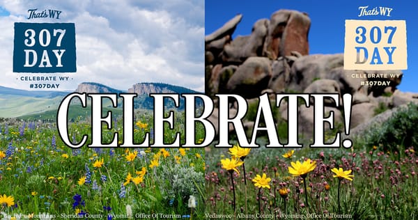 Celebrate Wyoming - 307 Day Is This Thursday!